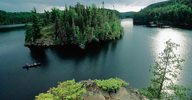 people canoeing in a lake surrounded by trees